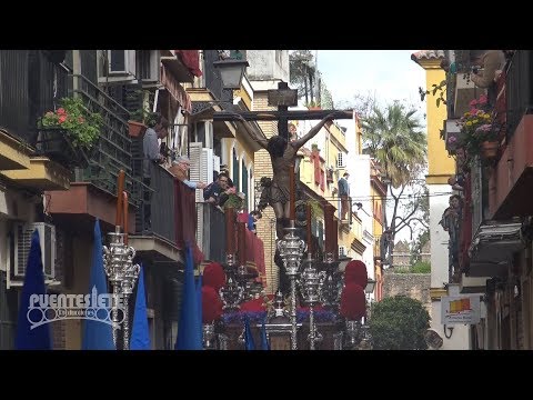 Real e Ilustre Hermandad Sacramental de la Inmaculada Concepción, Franciscana, Primitiva y Cisterciense Cofradía de Nazarenos de la Piedad de Nuestra Señora, Santísimo Cristo de la Buena Muerte, Santa María Magdalena y María Santísima de la Hiniesta Dolorosa y Gloriosa Coronada
