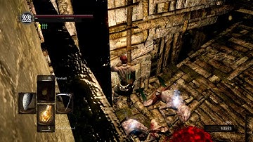 DARK SOULS - My character forgot how to climb ladders