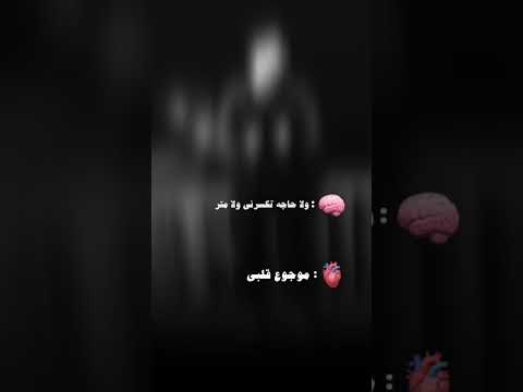 احلى موف اون ده ولا اي