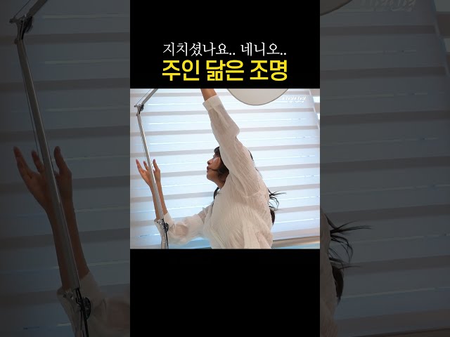 어쩐지 날 닮은 조명 . . .