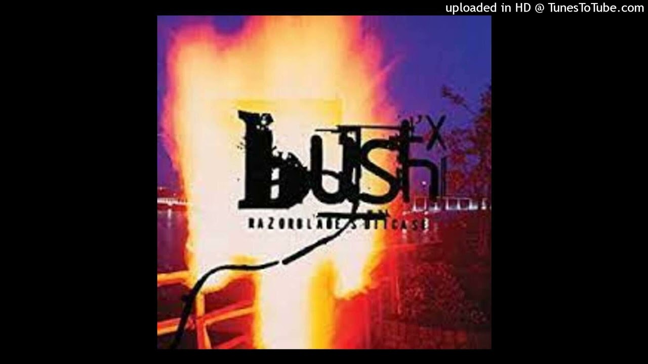 BUSH(UK) レコード13枚 maxresdefault.jpg