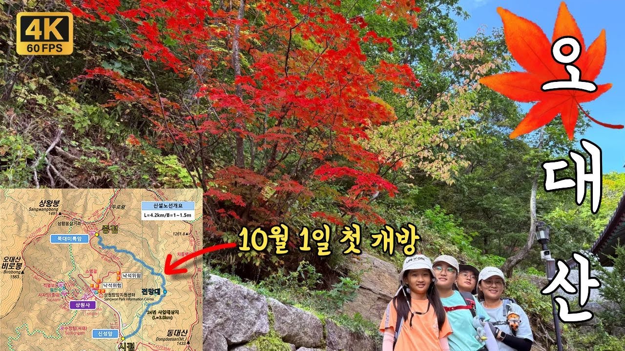 등산하다가 길을 잃었는데, 오히려 좋아💕 새로운 등산로 발견🎉 | 100대명산 | 오대산 | 나옹선사 수행길 | 순례길 | 스탬프투어 | 최초공개