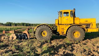 Лучший способ разработки целины. Кировец+мелиоративная борона.