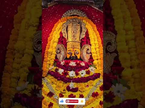 जय श्री श्याम #shyam बाबा परीक्षा भी #shorts #viral #short #trending #yt #youtubeshorts #श्री