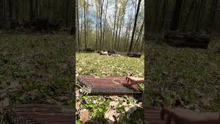 Forest Symphony featuring birds, bees, trees, frogs and a zither