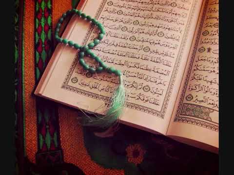 سورة عبس بصوت الشيخ وديع اليمني