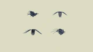 Crow Flap Animation Cycle