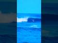 HAWAII’S CLEANEST SURF EVER?!