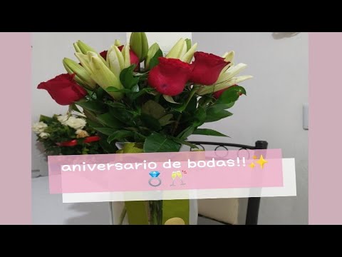 Video: Aniversario De Bodas 10 Años - Boda Rosa