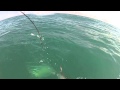 Gopro fishing fired up charters