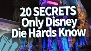 20 Disney World PRO TIPS Only Disney Die Hards Know!