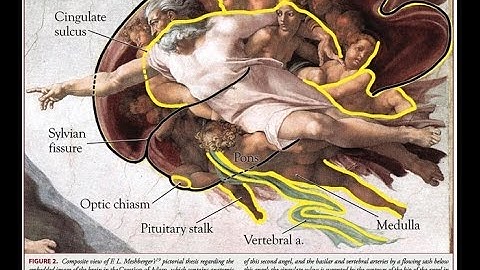 2015 Maps of Meaning Lecture 03a: Narrative, Neuropsychology & Mythology I (Part 1)