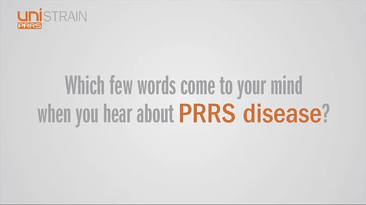 PRRS Knowledge - 天天要闻