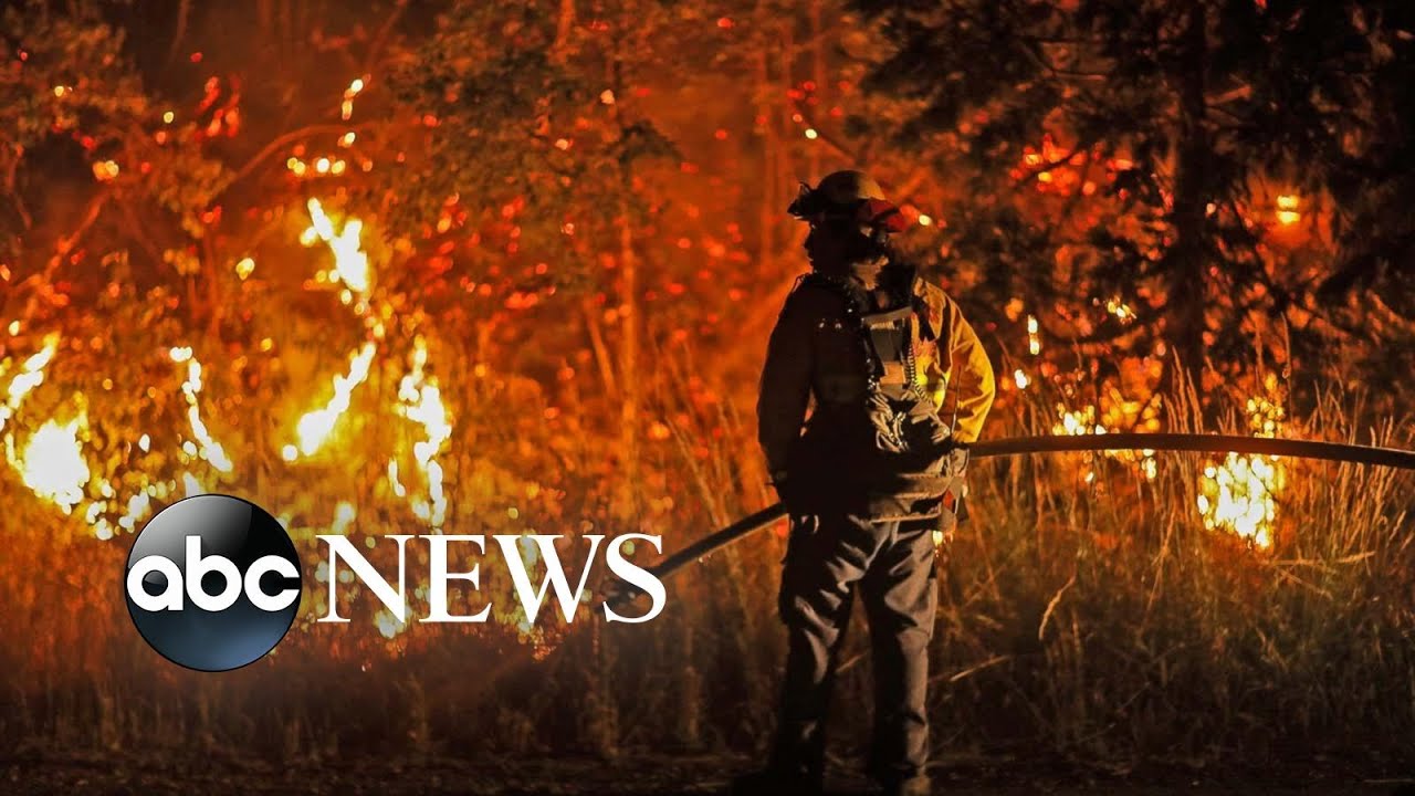 Wildfires, COVID-19 protests and 2020 Olympics: World in Photos, July 29