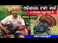 ଓଡ଼ିଶାରେ ଟର୍କି ବଢୁଛି ଚାହିଦା || Turky Farm || Farming In Odisha || Rise Odisha