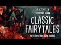Brothers Grimm Best Stories Collection | 5 Fairy Tales with Soothing Rain Sounds