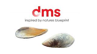DMS | Dynamic Mold System | Game Changing Innovation
