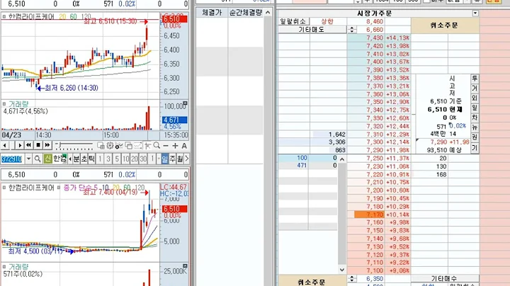 한컴라이프케어 (372910) 2024-4-24 (0%) 호가창 풀타임