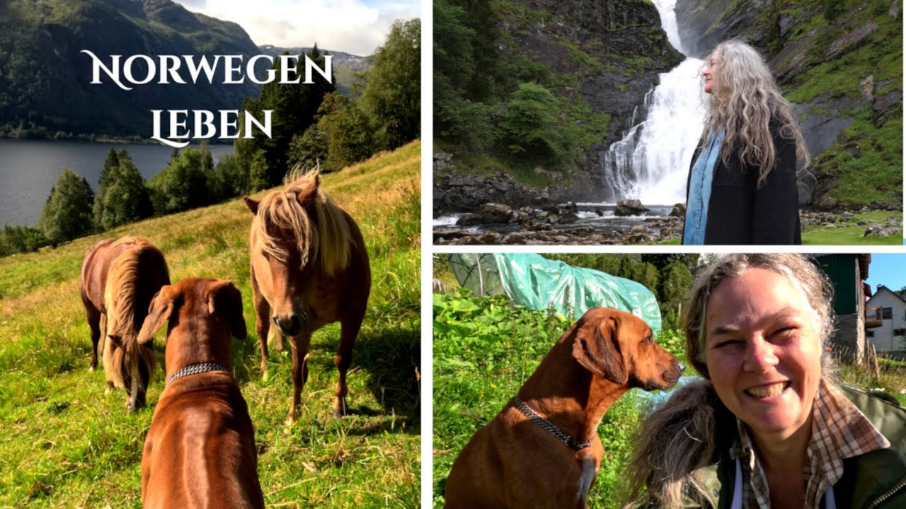 Selbstversorger und Leben in Norwegen -  Hof am See in den Bergen im August