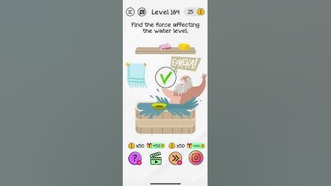 Braindom Level 165 Help entertain the cat