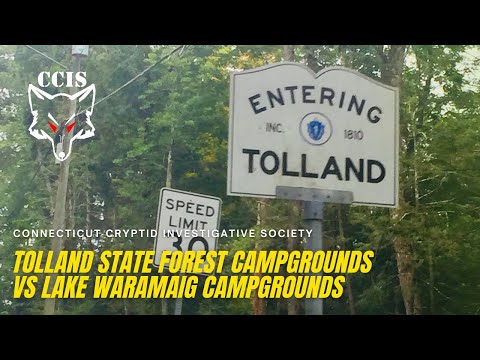 CCIS | On Location | Tolland State Forest Campgrounds Mass Vs Lake Waramaug CT