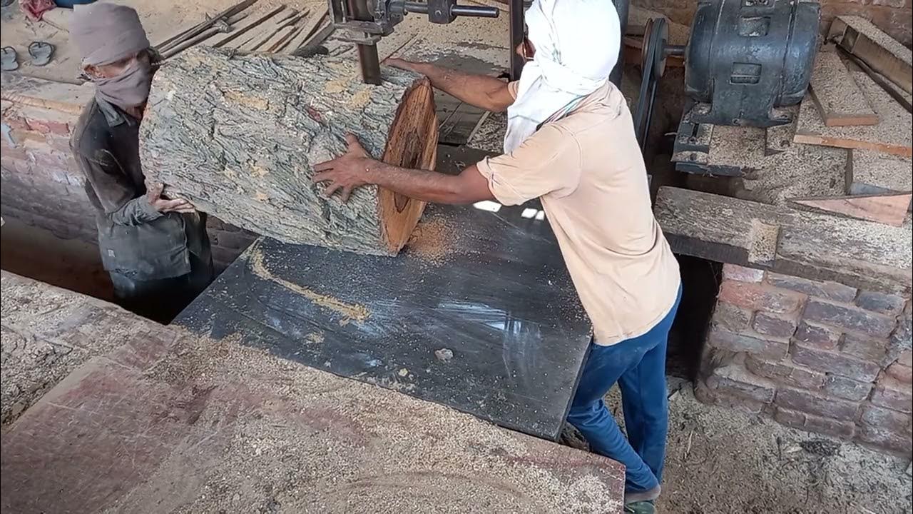 Jalaun ki Lakadi Kaise Kati Jaati Hai YouTube