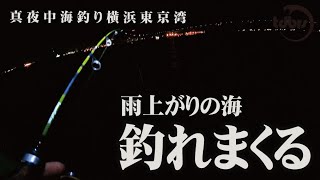 横浜東京湾夜釣り2 雨で水温が上がった海で魚釣りまくる Youtube