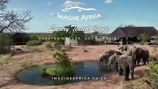 Imagine Africa Luxury Tented Camp Promotional Deal for 2023 - Greater Kruger