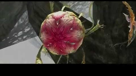 FFXII: Struggle For Freedom - Rafflesia (Weak Mode, No DCG/Optional Areas/Bazaarhax)