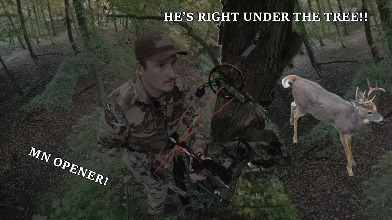 2 BUCKS in BOW range MN opener!!