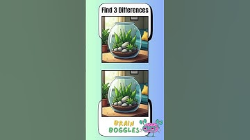 Spot The Difference: Train Your Brain