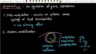 Human Embryology (Bio 383):  Morphogenesis