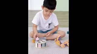 Polarb | Hedgehog w/ Sorting Wheel (44025)