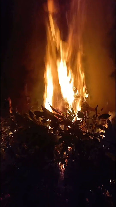 Sedikit menyeramkan, malam yang mencekam di kegelapan begini #gelap #malam #seram #mencekam