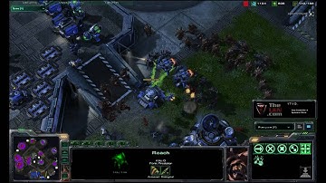 Mutalisk Army Support - StarCraft 2 Strategy from TheUEN.com