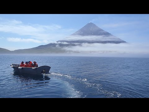 Group of Alaskan Islands Could Be One Giant Volcano Capable of Super-Eruptions