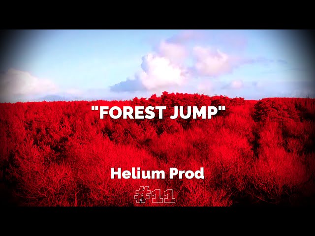 "FOREST JUMP" - 2020
