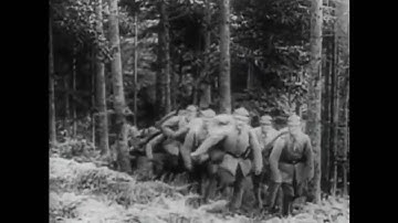 INTROSPECTION - Cultural War ( Official music video )