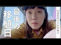 40歳不妊治療、しまむらで新しいパンツ買って挑む最後の移植日