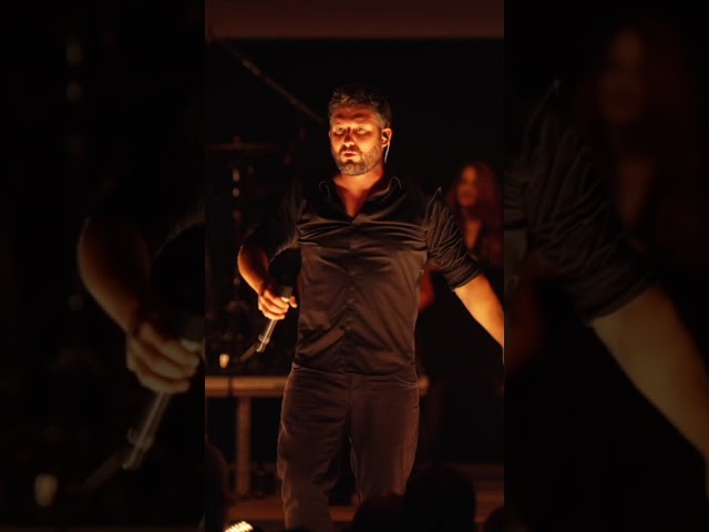 Mustapha (Live at Freddie days 2025) Short #3