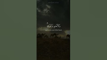 جزء من سورة آل عمران للقارئ(عبدالرحمن مسعد) #قرآن #عبدالرحمن_مسعد #سورة_آل_عمران #quran