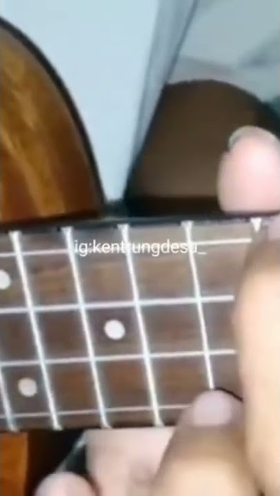 SKIL PRO - STORY WA KENTRUNG SENAR 4 (PRO MELODI)