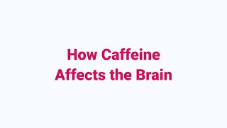 How Caffeine Affects the Brain;The Longest Time Between Twins Being Born;The Origin of the High Five