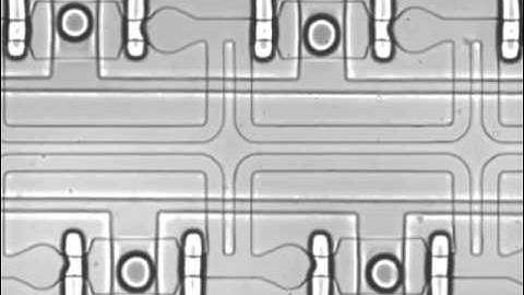 A programmable microfluidic static droplet array for droplet generation, transportation, fusion...