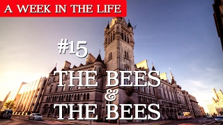 The Bees & The Bees | Week 15