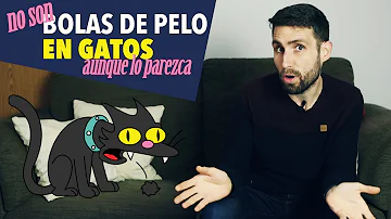 ¿Se ven las bolas de gato?