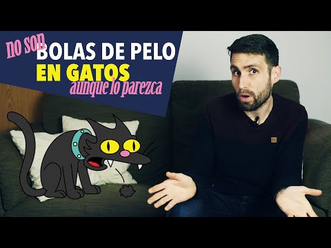 No siempre son bolas de pelo lo que tiene tu gato. Aprende a identificarlas.