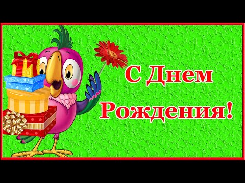 С Днем Рождения от попугая Кеши. Прикольное поздравление