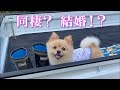 同棲に向けての引っ越し…息子の結婚は近いのでしょうか!?
