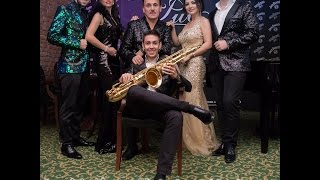 Petrica Nicoara - Instrumentala █▬█ █ ▀█▀